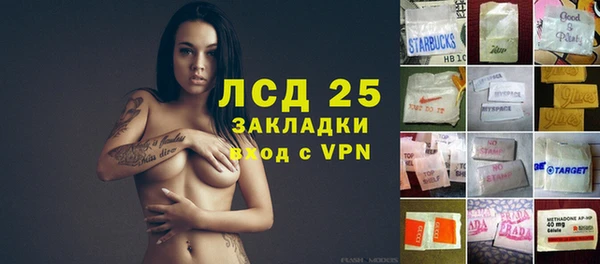 крисы Балахна
