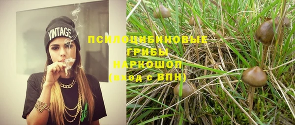 крисы Балахна