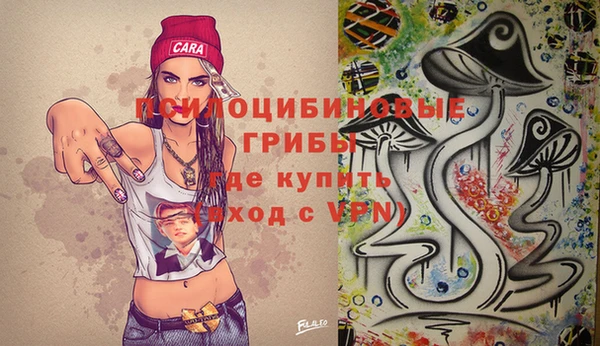 МДМА Бородино