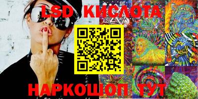 PSILOCYBIN Канаш