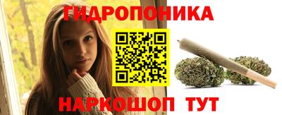 PSILOCYBIN Канаш
