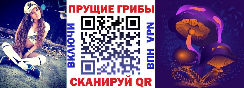 где найти наркотики Кинель Псилоцибиновые грибы мицелий