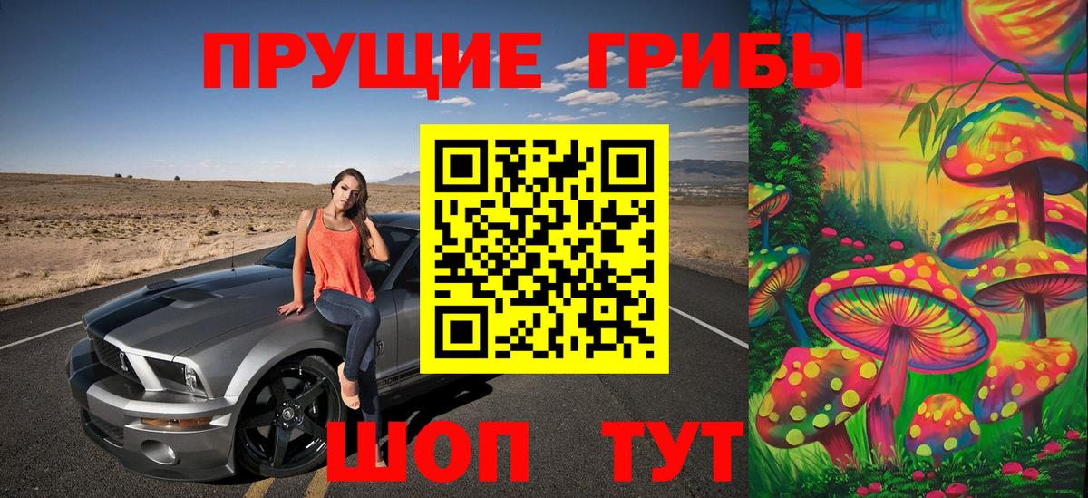 Кинель  Галлюциногенные грибы Psilocybine cubensis  Вход с VPN 