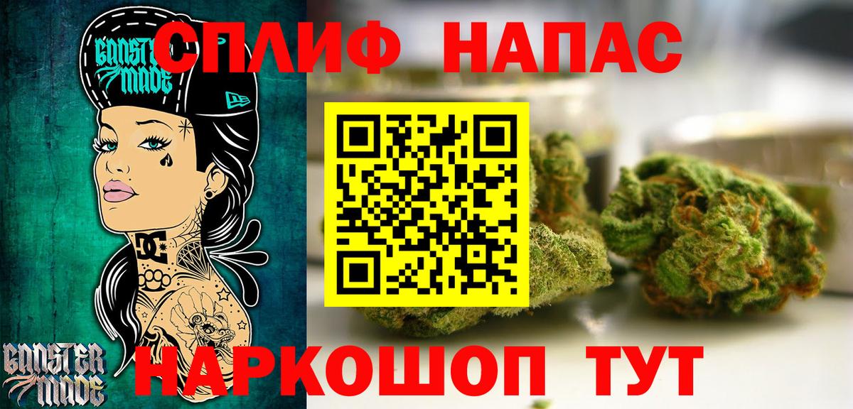 Канабис планчик  Вход с VPN  Бошки марихуана тримм  Каннабис марихуана  Кинель 